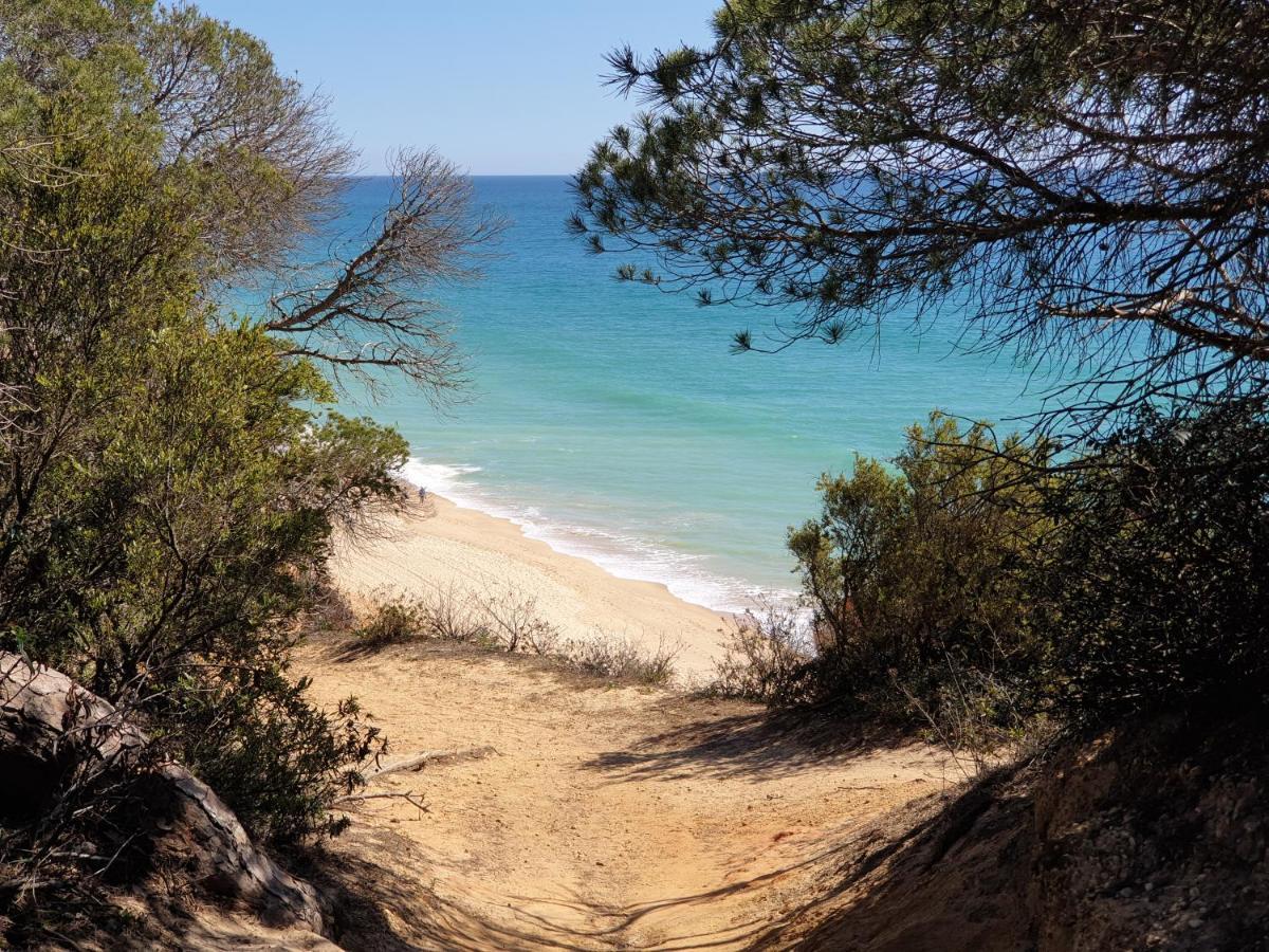 Albufeira Falesia Beach Apartment المظهر الخارجي الصورة